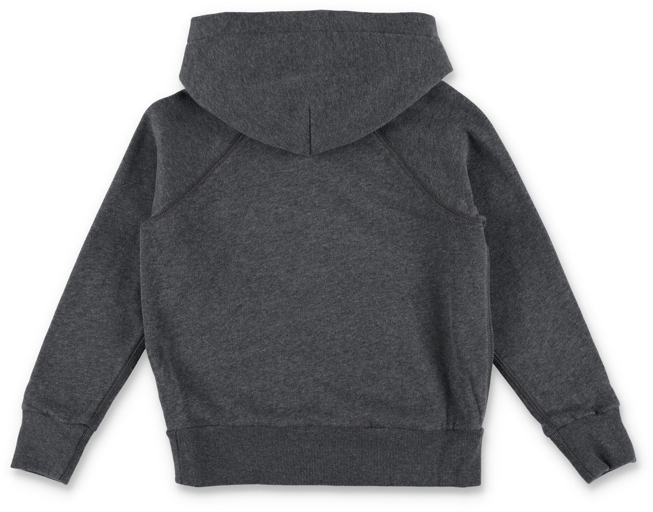 Ralph Lauren Hoodie Horse Grigio Grijs