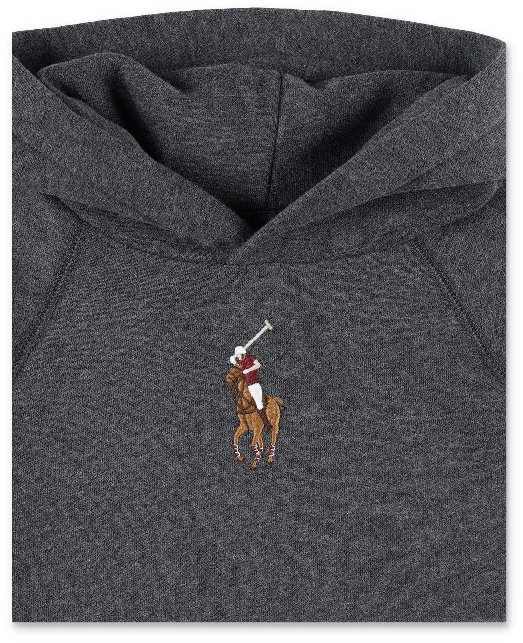 Ralph Lauren Hoodie Horse Grigio Grijs