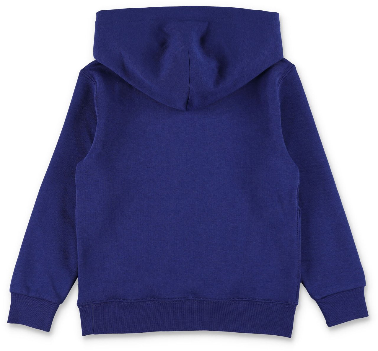 Ralph Lauren Hoodie Bear Hol25 Bear Fall Royal Divers