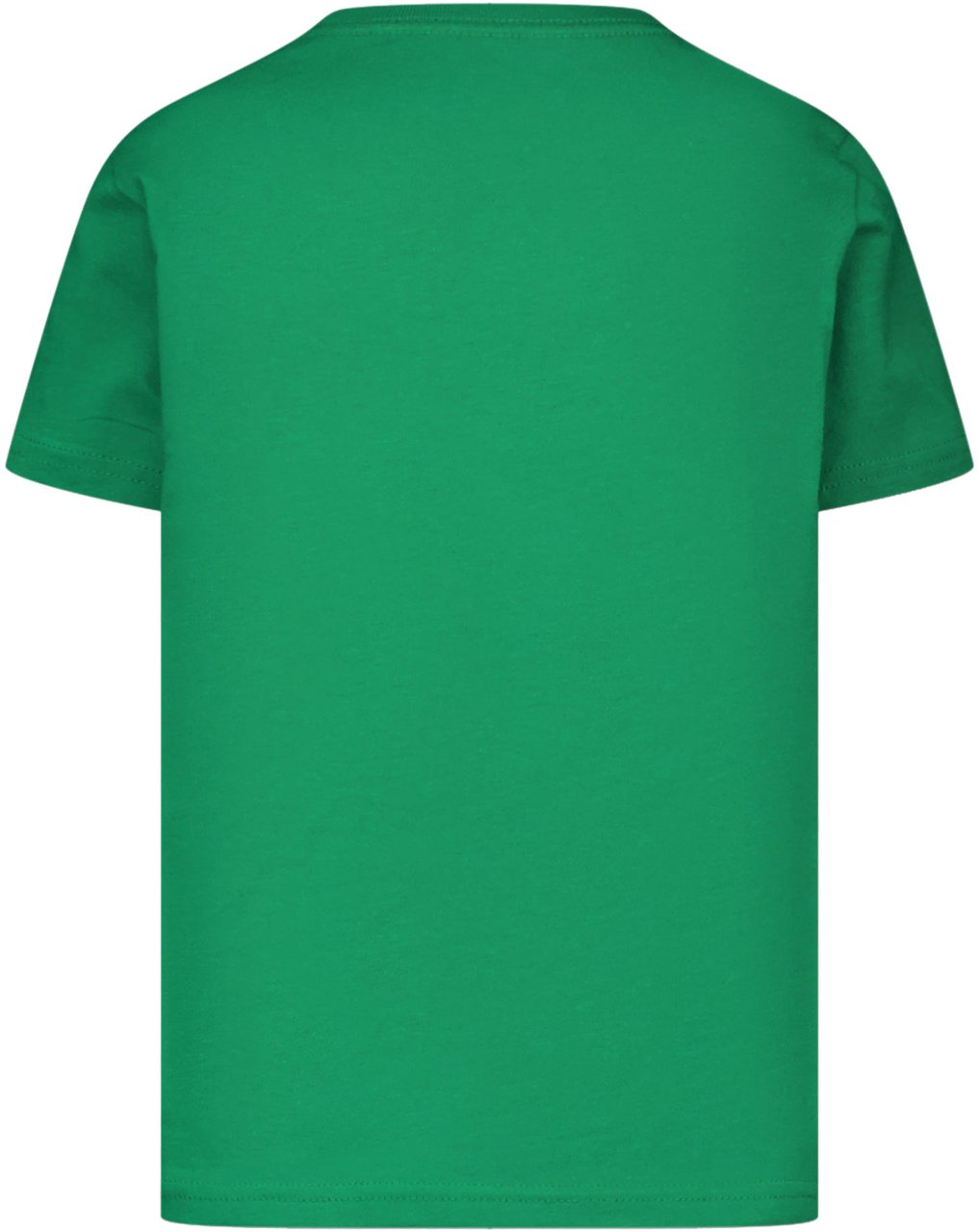 Ralph Lauren Ralph Lauren Kinder Jongens T-Shirt In Groen Groen