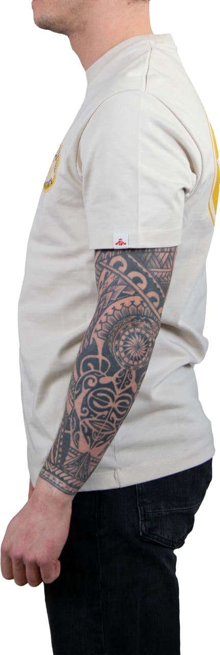 Replay Replay T-Shirt Grijs