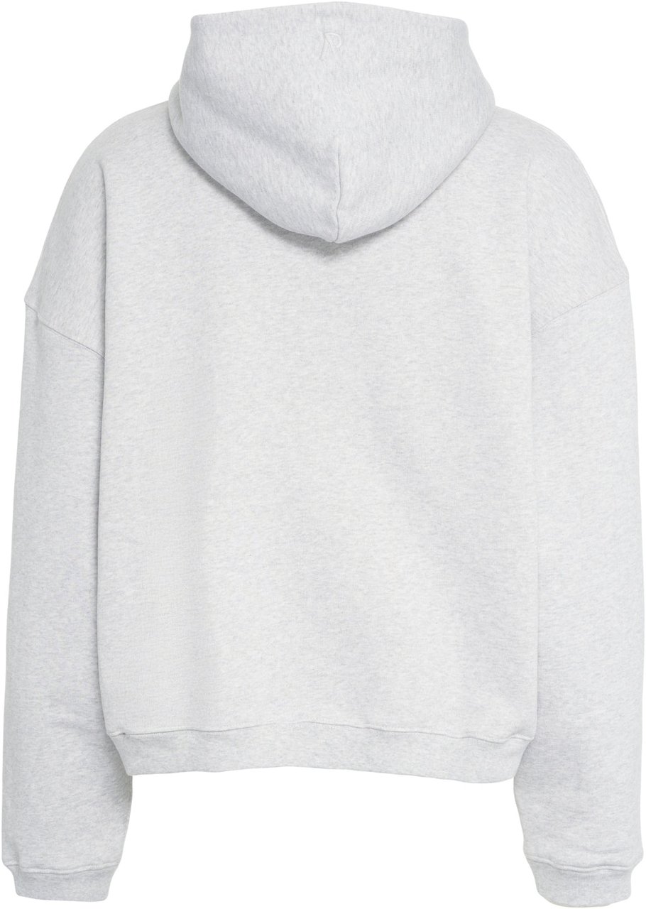 Represent Hoodie with zipper 'Initial' Grijs