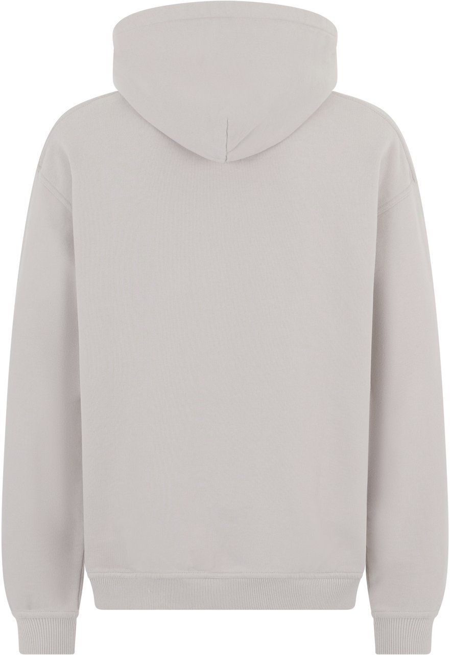 Represent Hooded Script Logo Sweatshirt Grijs