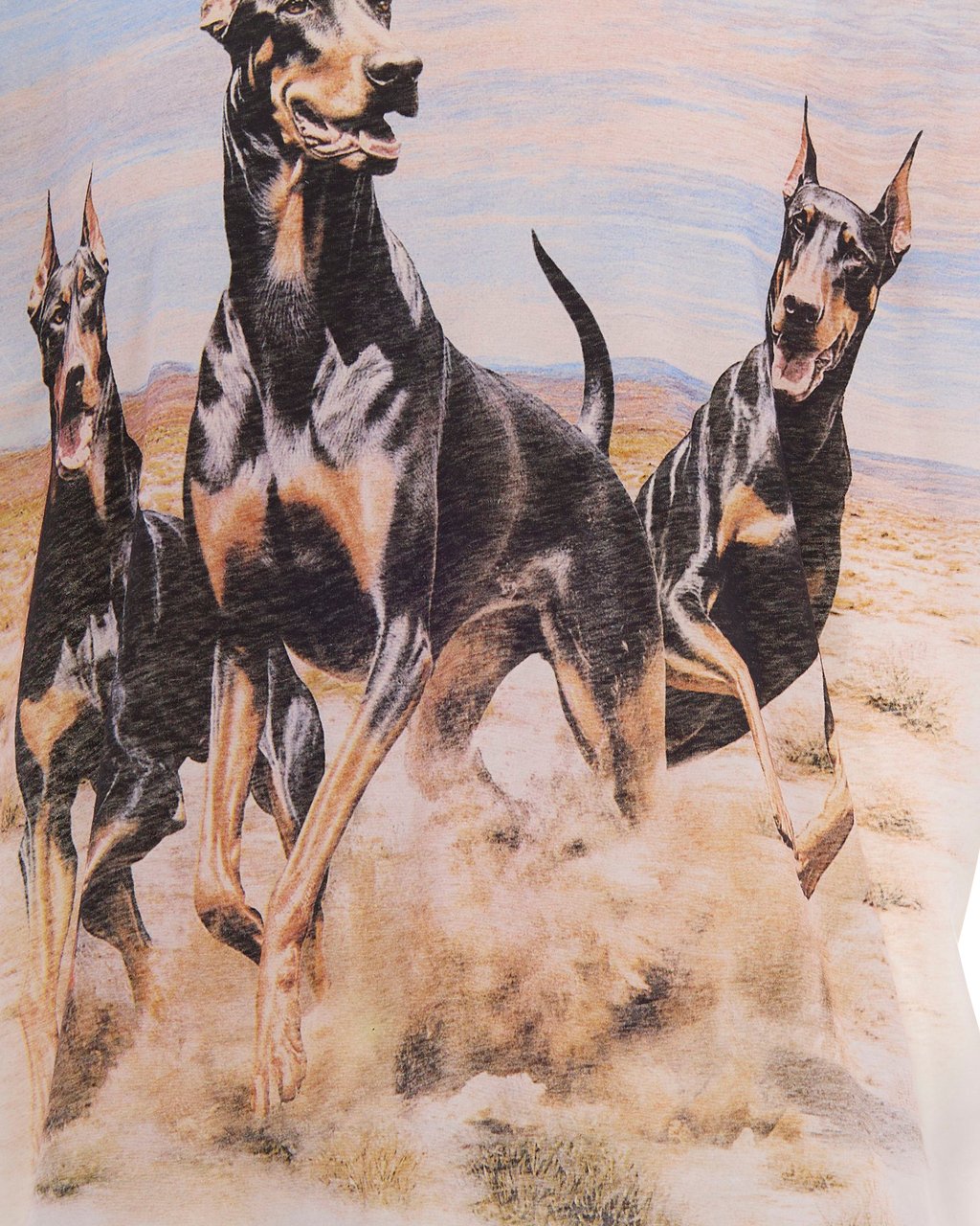 Represent T-Shirts And Polos Flat White Wit