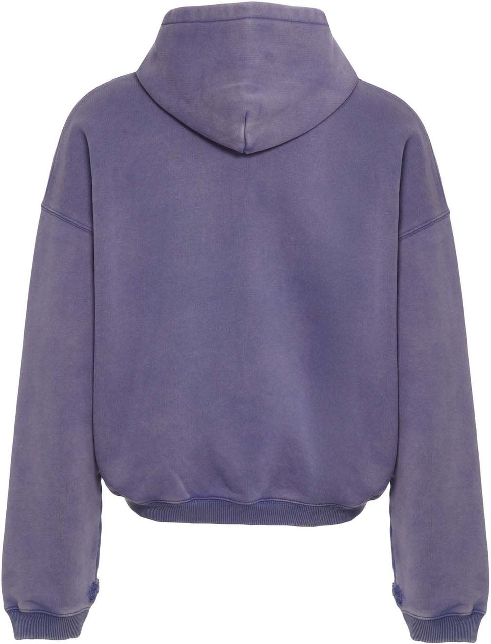 Represent Hoodie with zipper 'Pegasus' Blauw