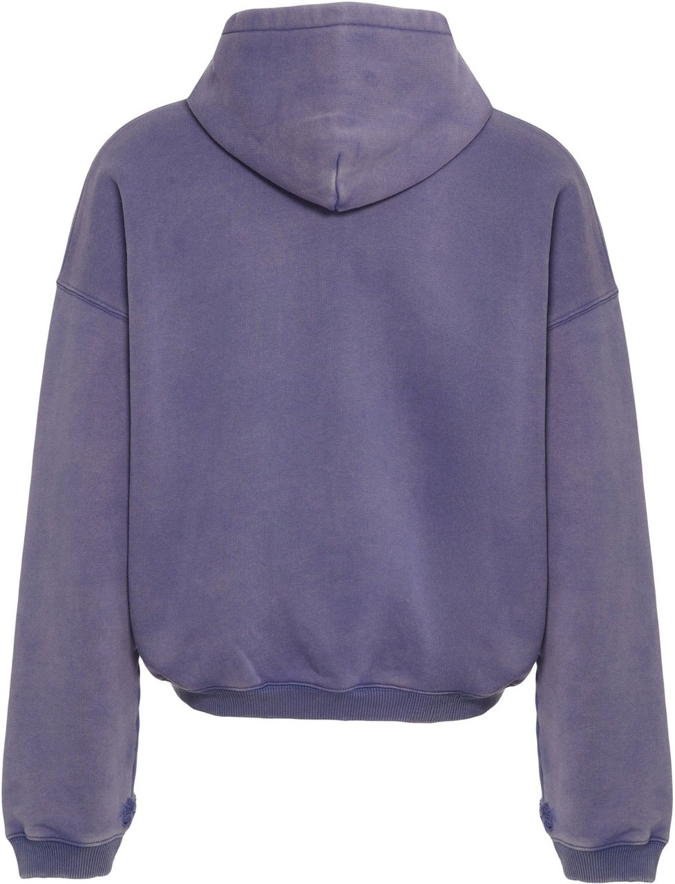 Represent Hoodie with zipper 'Pegasus' Blauw