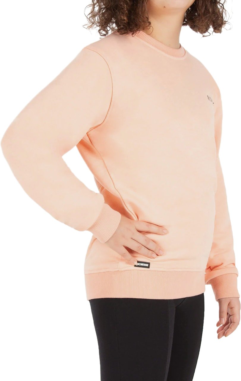Richesse Crewneck JR Pink Roze