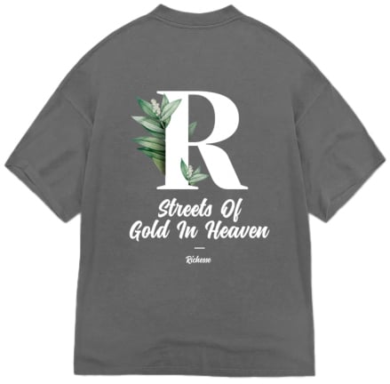 Richesse HEAVEN T-SHIRT Grijs