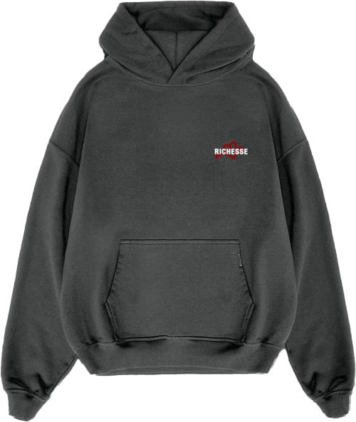 Richesse UNEXPECTED HOODIE GREY Grijs