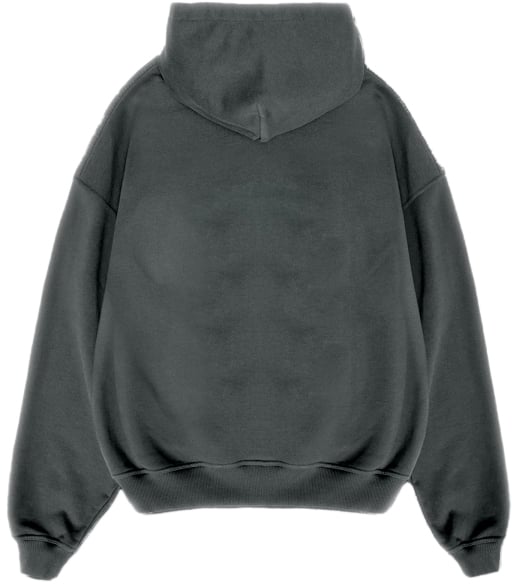 Richesse SOCIÉTÉ HOODIE GREY Grijs