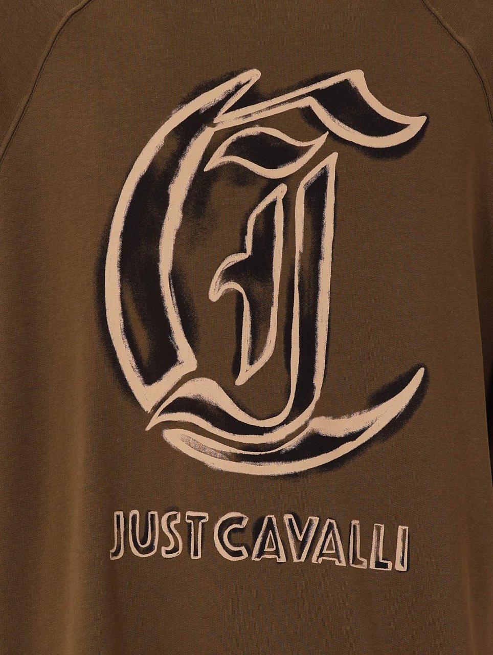 Roberto Cavalli Sweaters Green Groen