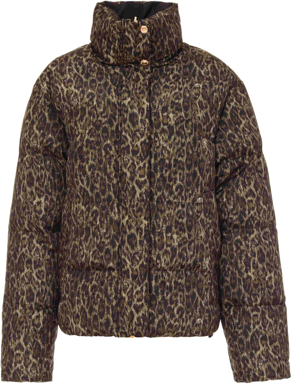 Roberto Cavalli Coats Green Groen