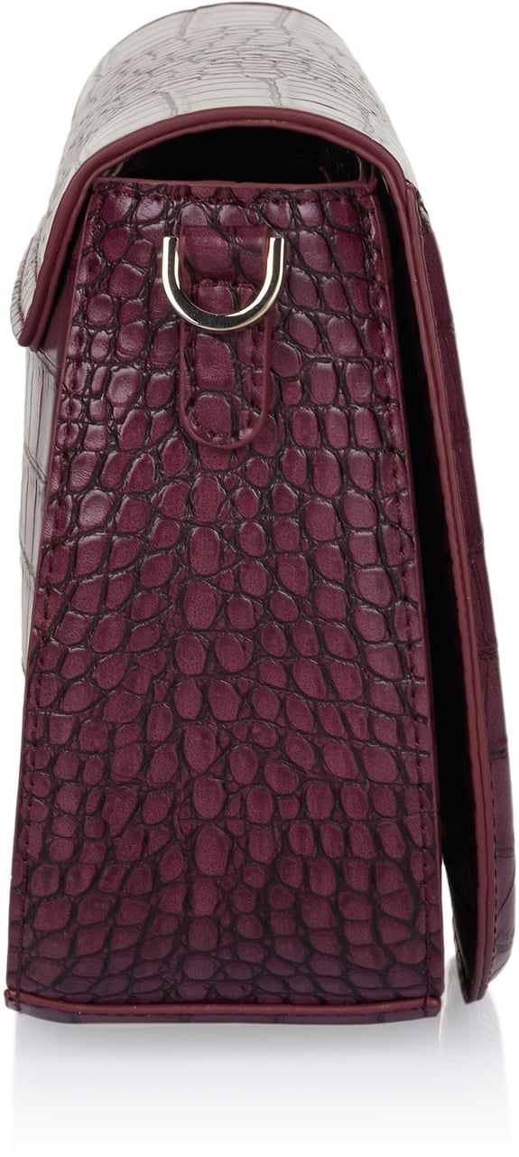Roberto Cavalli Cavalli Class Tasche Rood