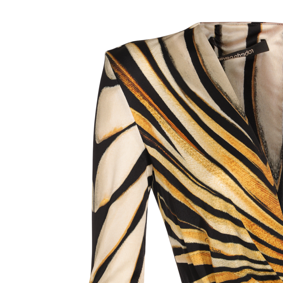 Roberto Cavalli Maxi Dress with Bold Geometric Stripes Bruin
