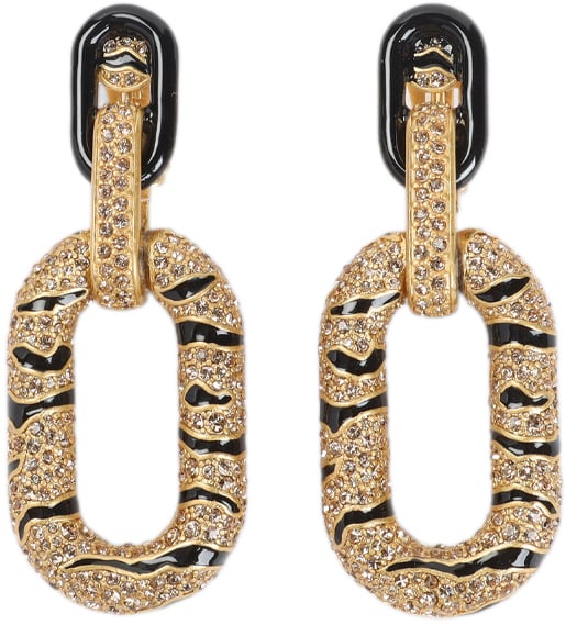 Roberto Cavalli ROBERTO CAVALLI VKG011.AM011 Zilver