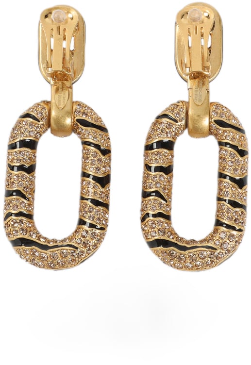 Roberto Cavalli ROBERTO CAVALLI VKG011.AM011 Zilver
