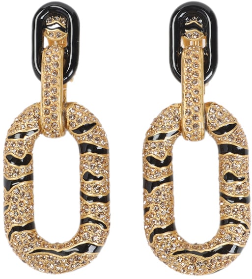 Roberto Cavalli ROBERTO CAVALLI VKG011.AM011 Zilver