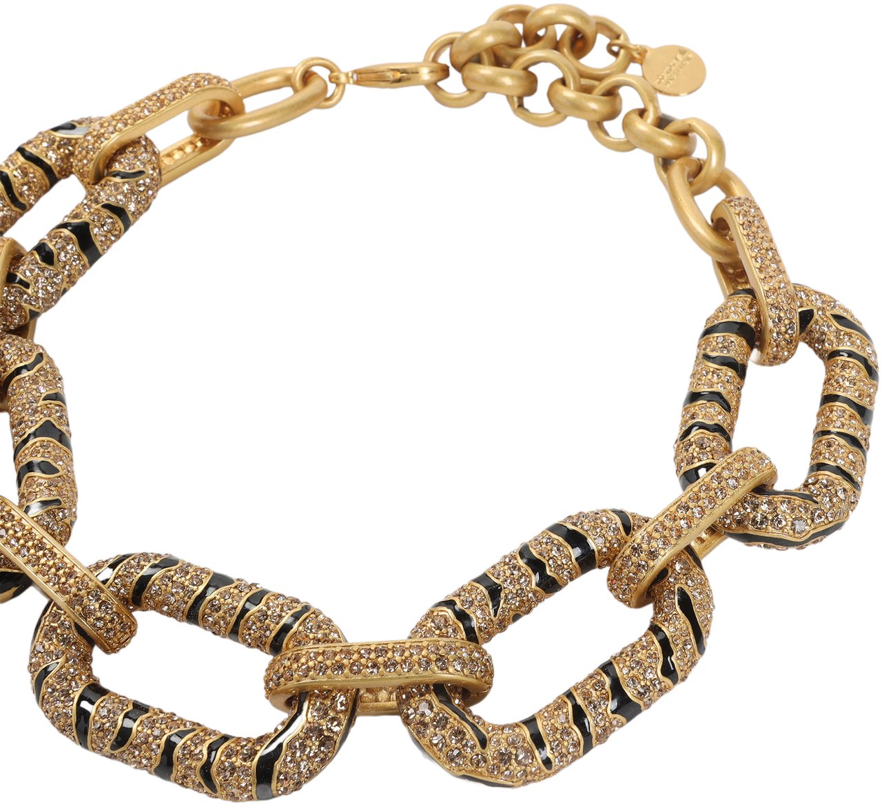 Roberto Cavalli ROBERTO CAVALLI VKG022.AM011 Zilver
