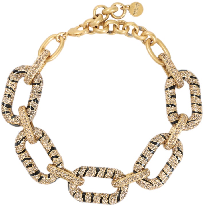 Roberto Cavalli ROBERTO CAVALLI VKG022.AM011 Zilver