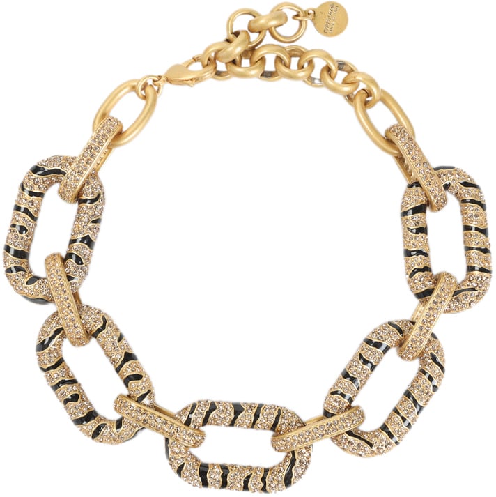 Roberto Cavalli ROBERTO CAVALLI VKG022.AM011 Zilver