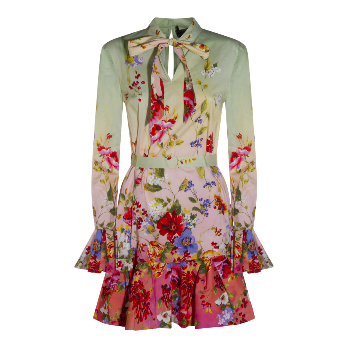 Roberto Cavalli Flowing Silhouette Dress With Fitted Bodice Divers