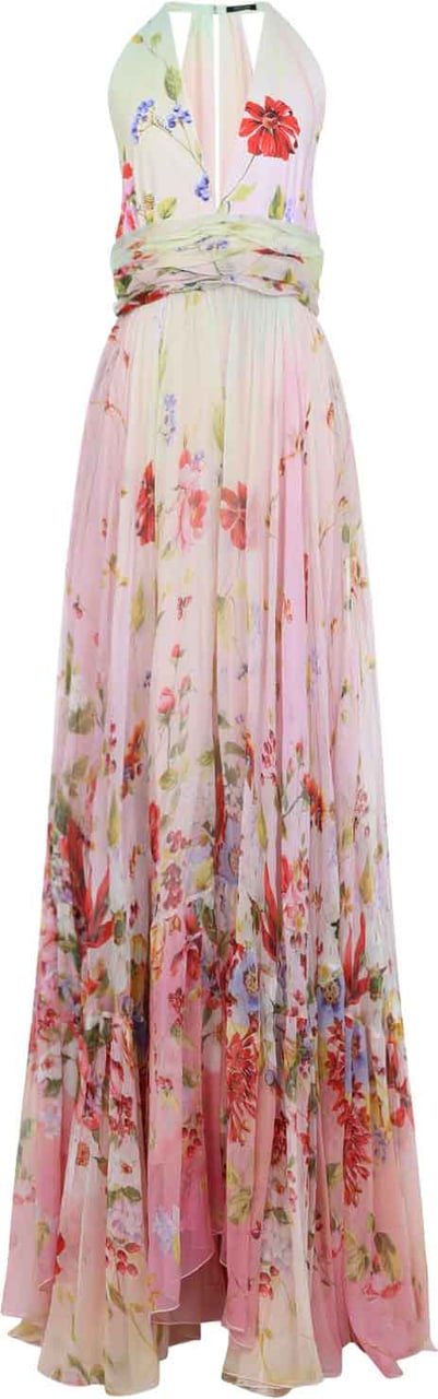 Roberto Cavalli Miami Flowers Long Dress Divers