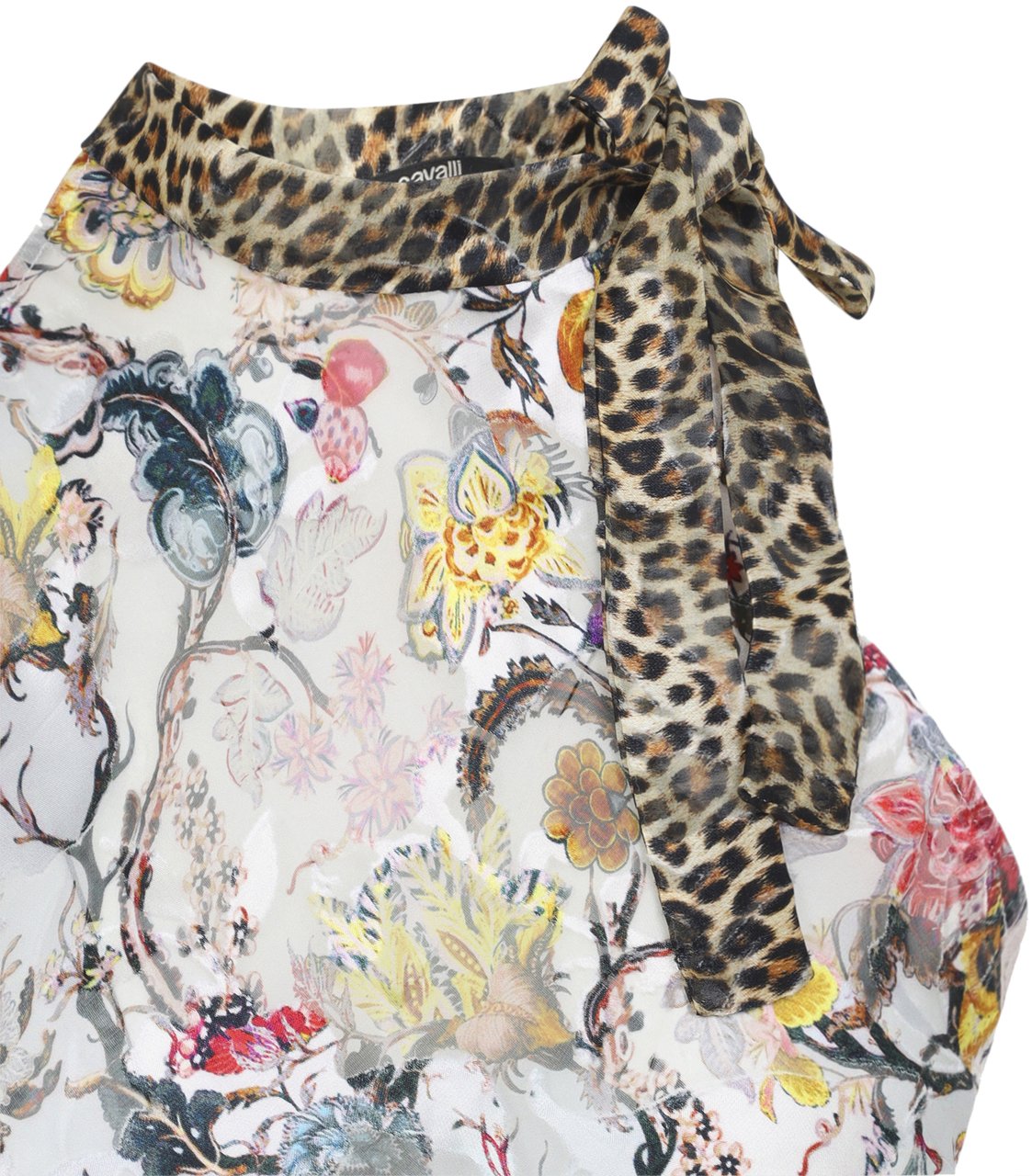 Roberto Cavalli ROBERTO CAVALLI WQT611.HER29 Beige