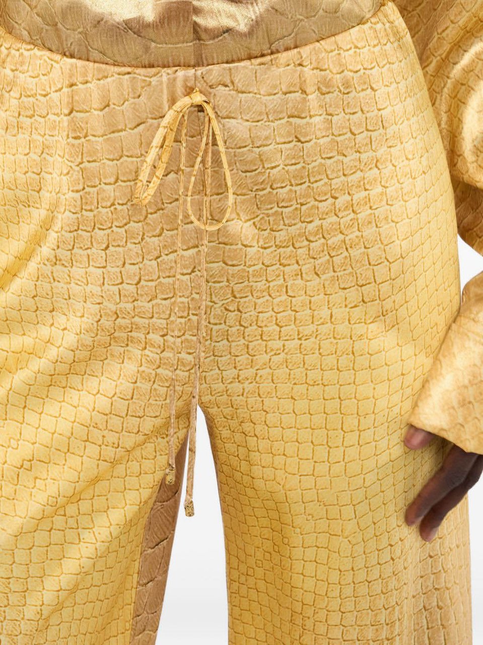 Roberto Cavalli Rtw Golden Goud
