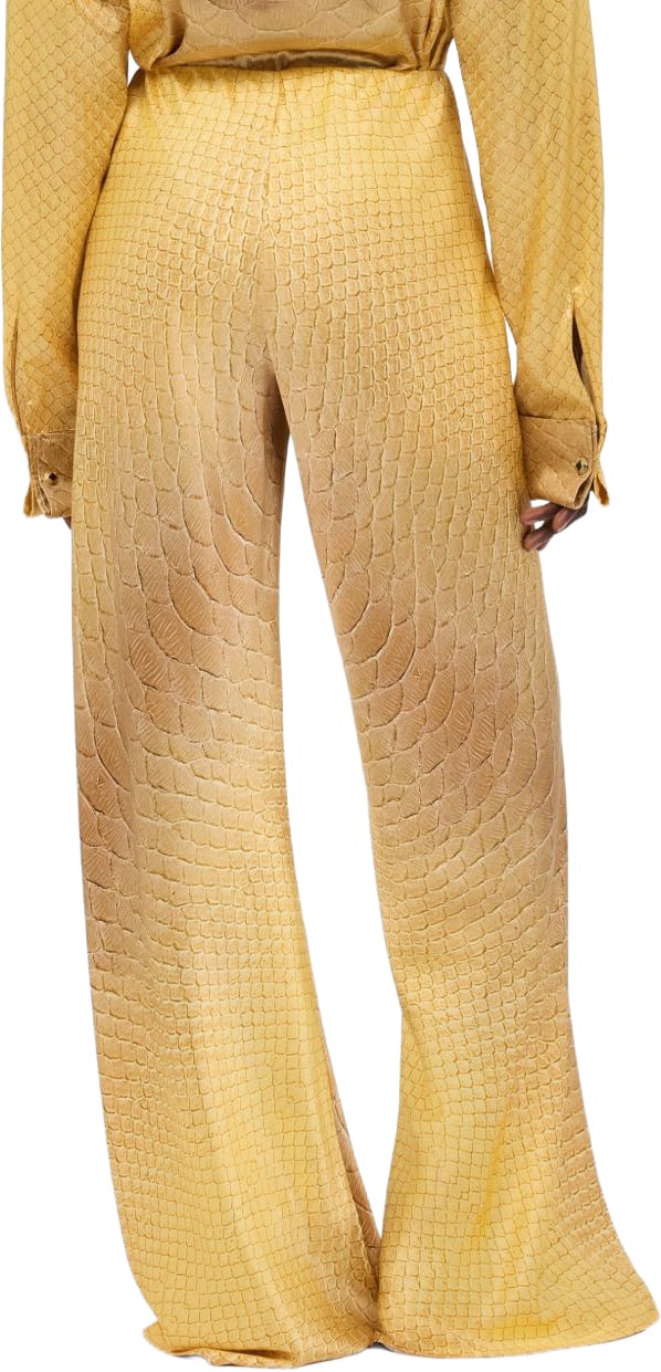 Roberto Cavalli Rtw Golden Goud