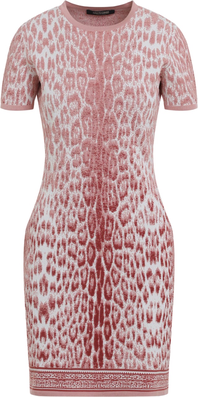 Roberto Cavalli Jaguar Print Dress Divers