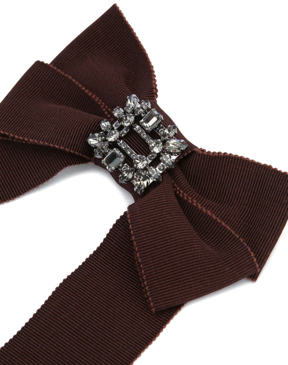 Roger Vivier Accessories Brown Bruin