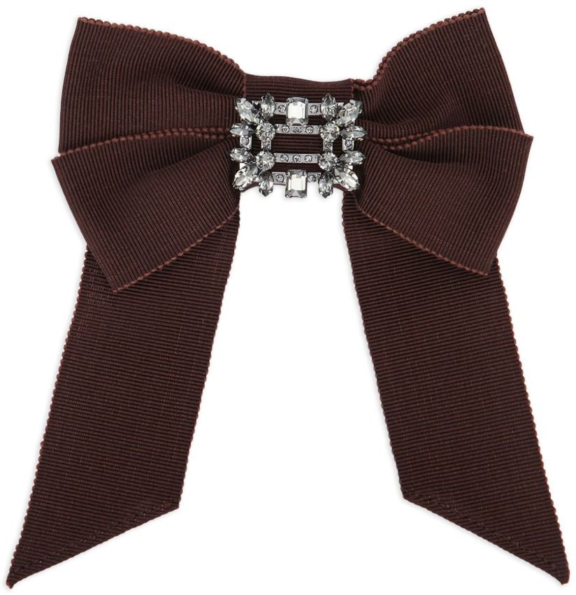 Roger Vivier Accessories Brown Bruin