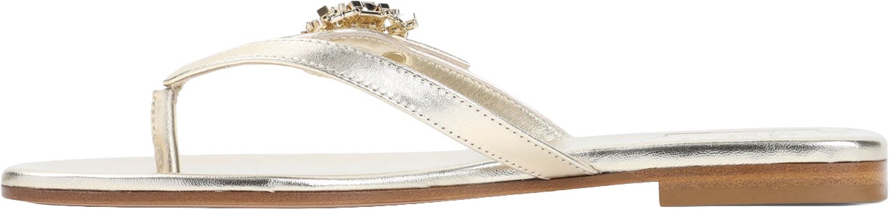 Roger Vivier Strass B Flip Flops Divers