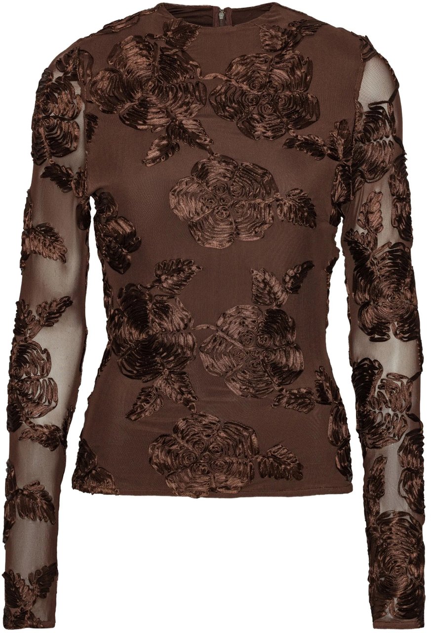 Rotate Top Brown Bruin