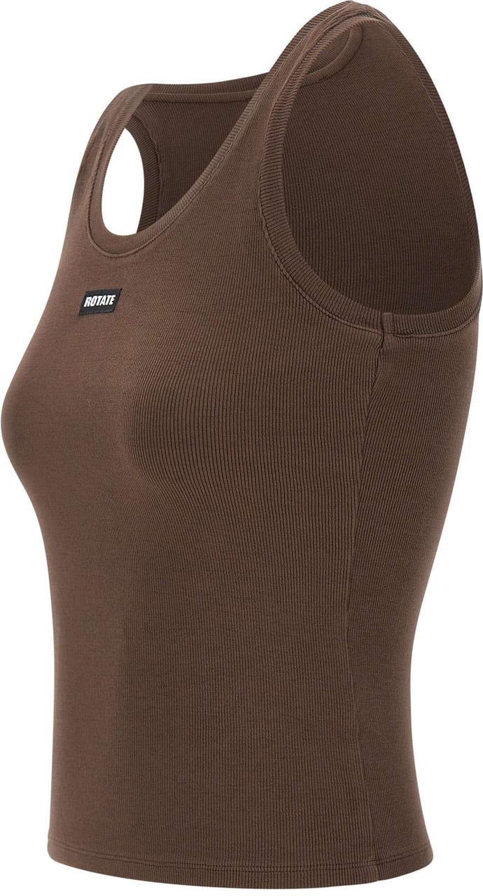 Rotate Top Brown Bruin