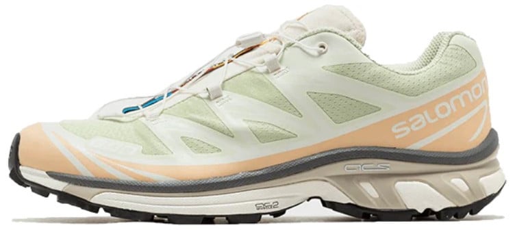 Salomon Salomon XT-6 Aloe Washm Beige