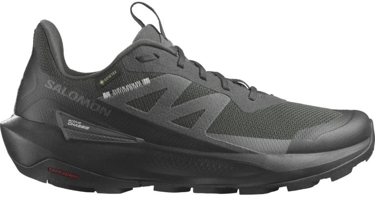 Salomon Elixir Activ GTX Grijs