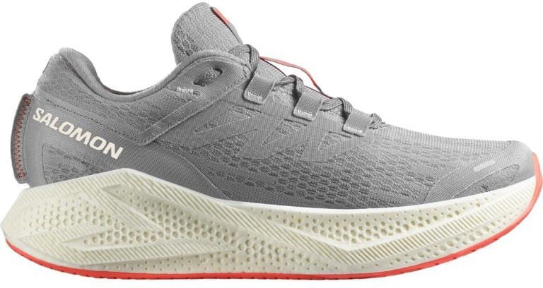Salomon AERO GLIDE 3 Grijs