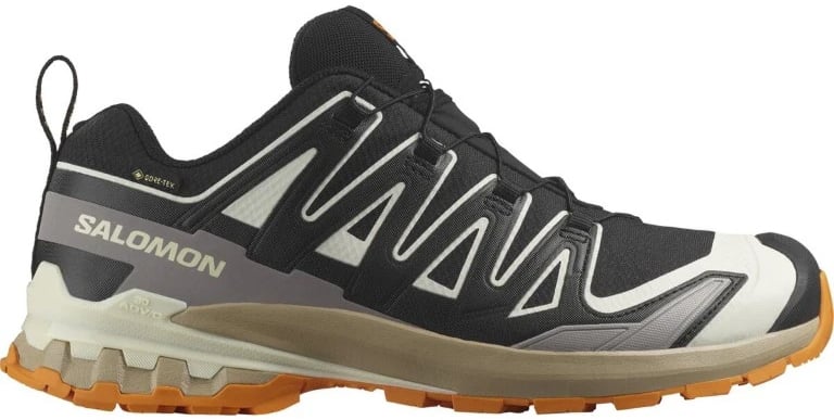 Salomon XA Pro 3D V9 GTX Zwart