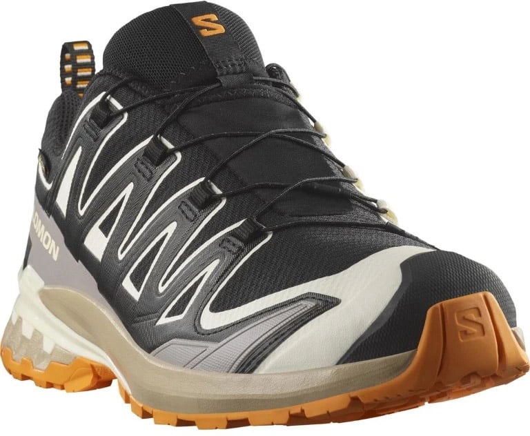Salomon XA Pro 3D V9 GTX Zwart