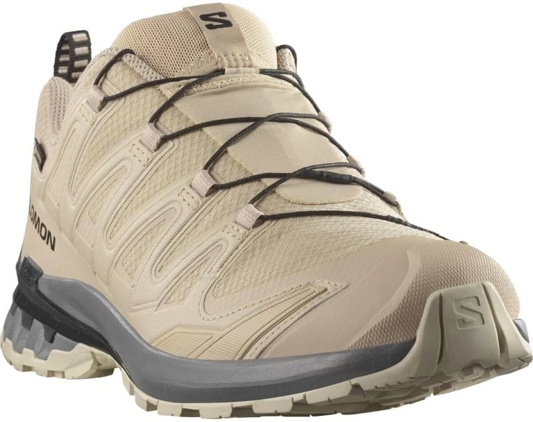 Salomon XA Pro 3D V9 GTX Beige