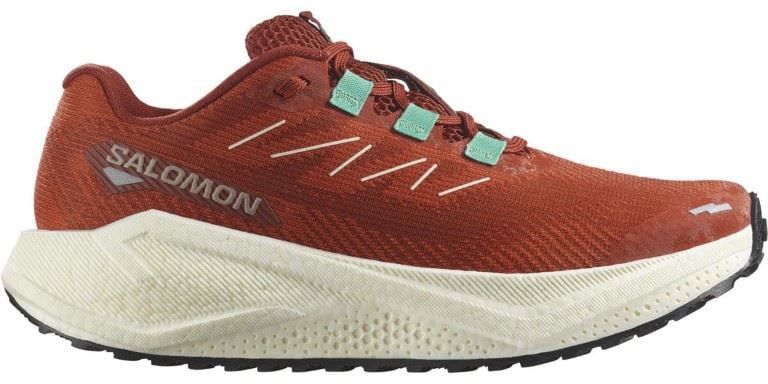 Salomon AERO BLAZE 3 GRVL Oranje