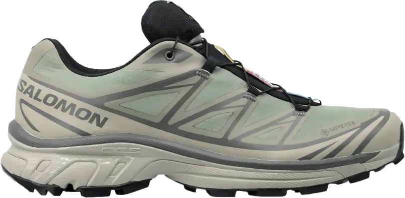 Salomon Xt-6 Gtx White Pepper/silver Sage Wit