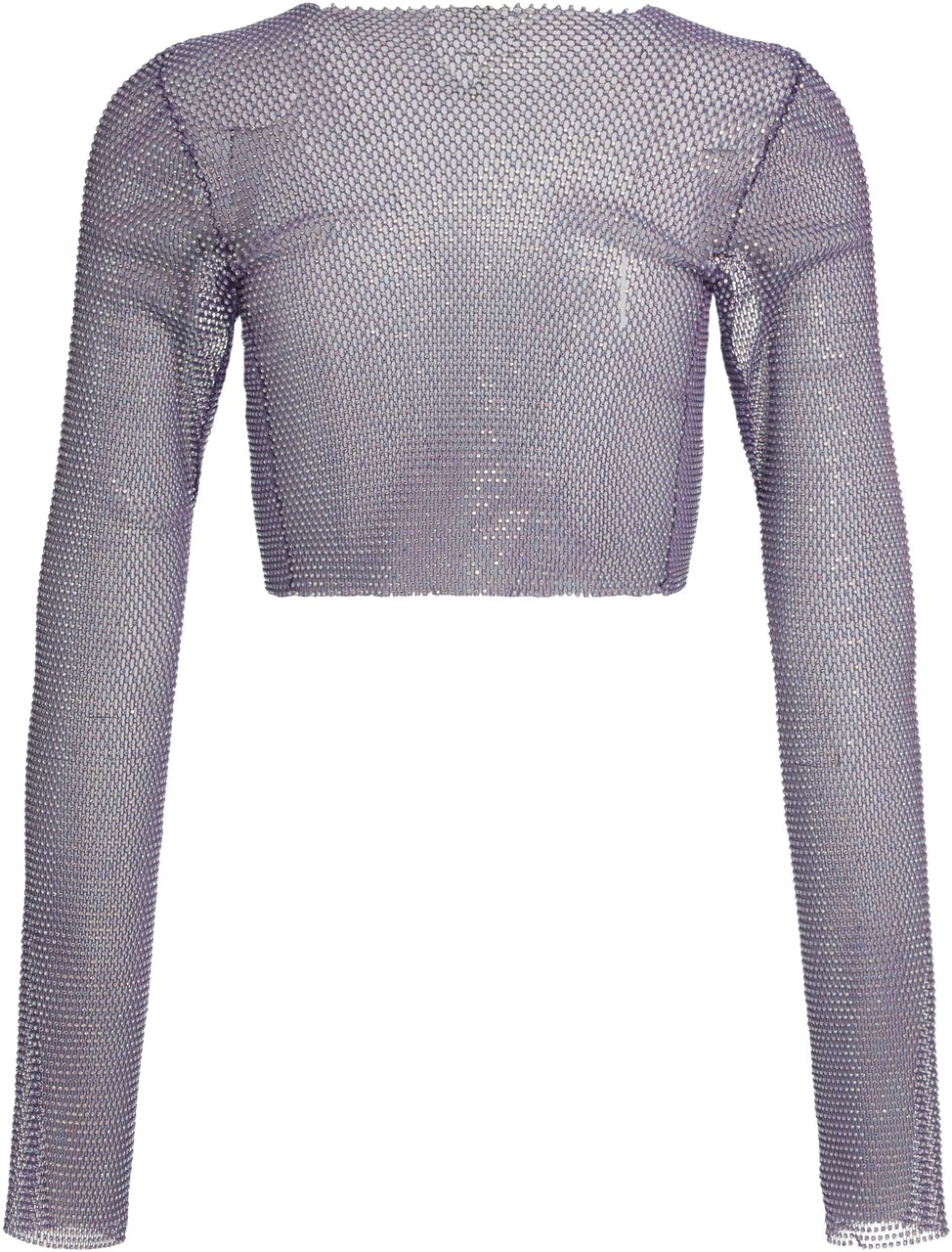 Santa Brands Mesh top Paars