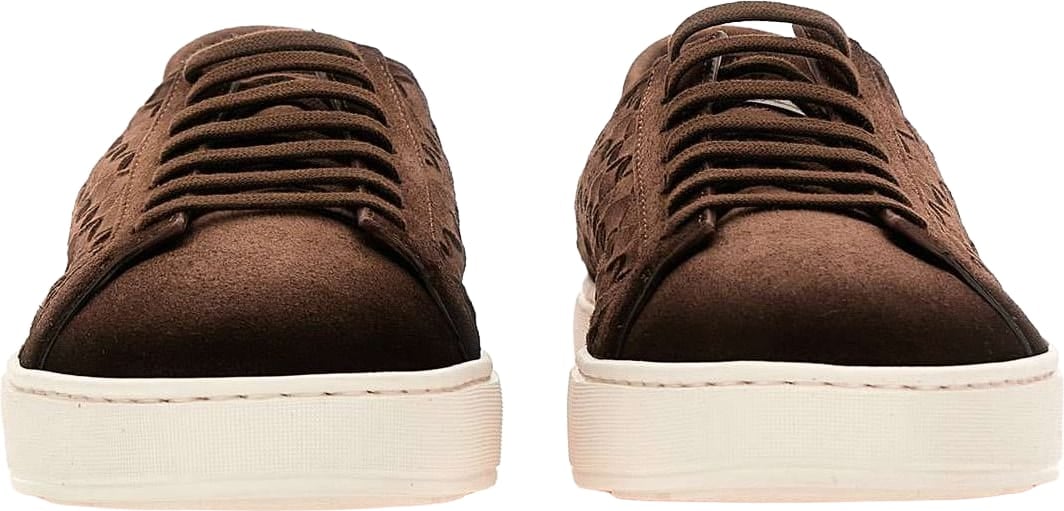 Santoni Sneakers Brown Bruin