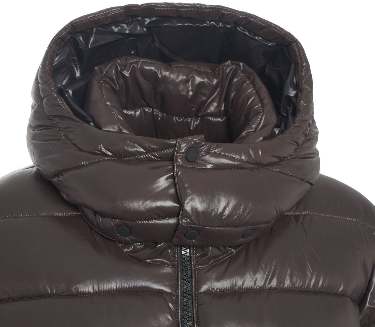 Save the Duck Quilted puffer jacket Bruin