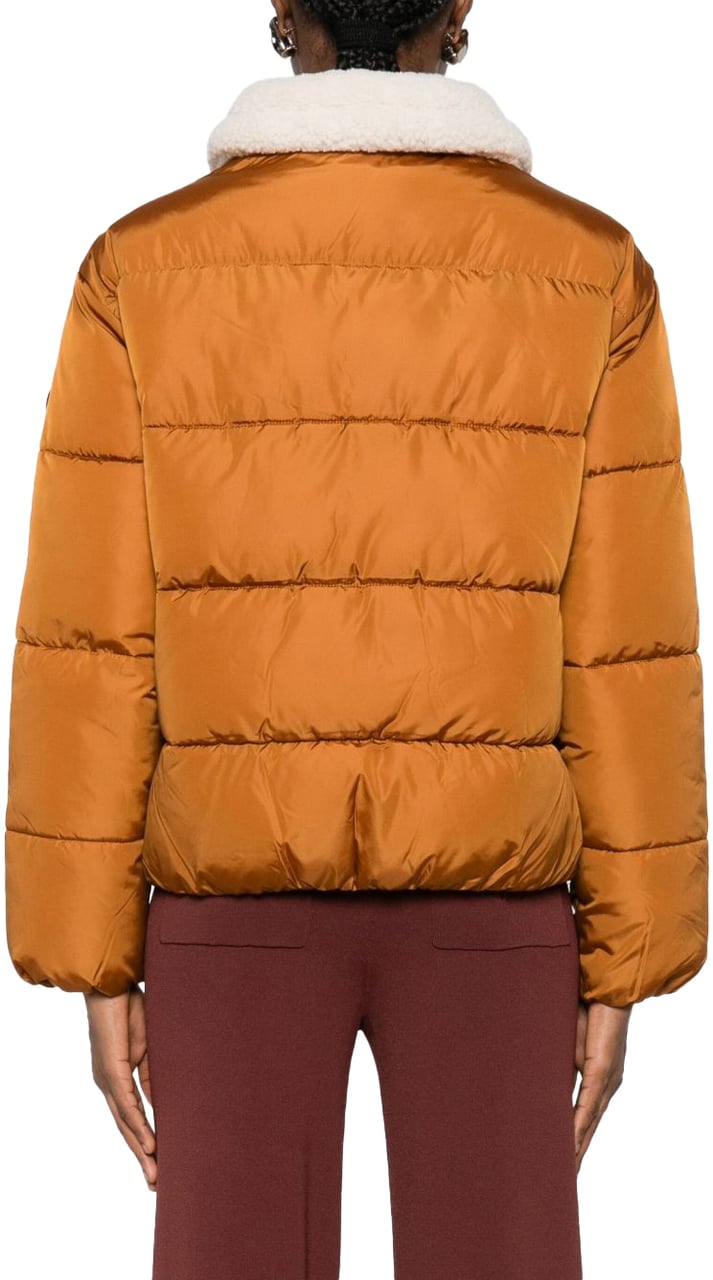 Save the Duck Save The Duck Giacconi Marrone Bruin