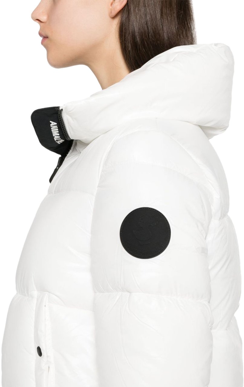 Save the Duck Save The Duck Giacconi Bianco Wit