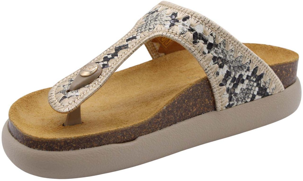 Scholl Slipper Beige Beige