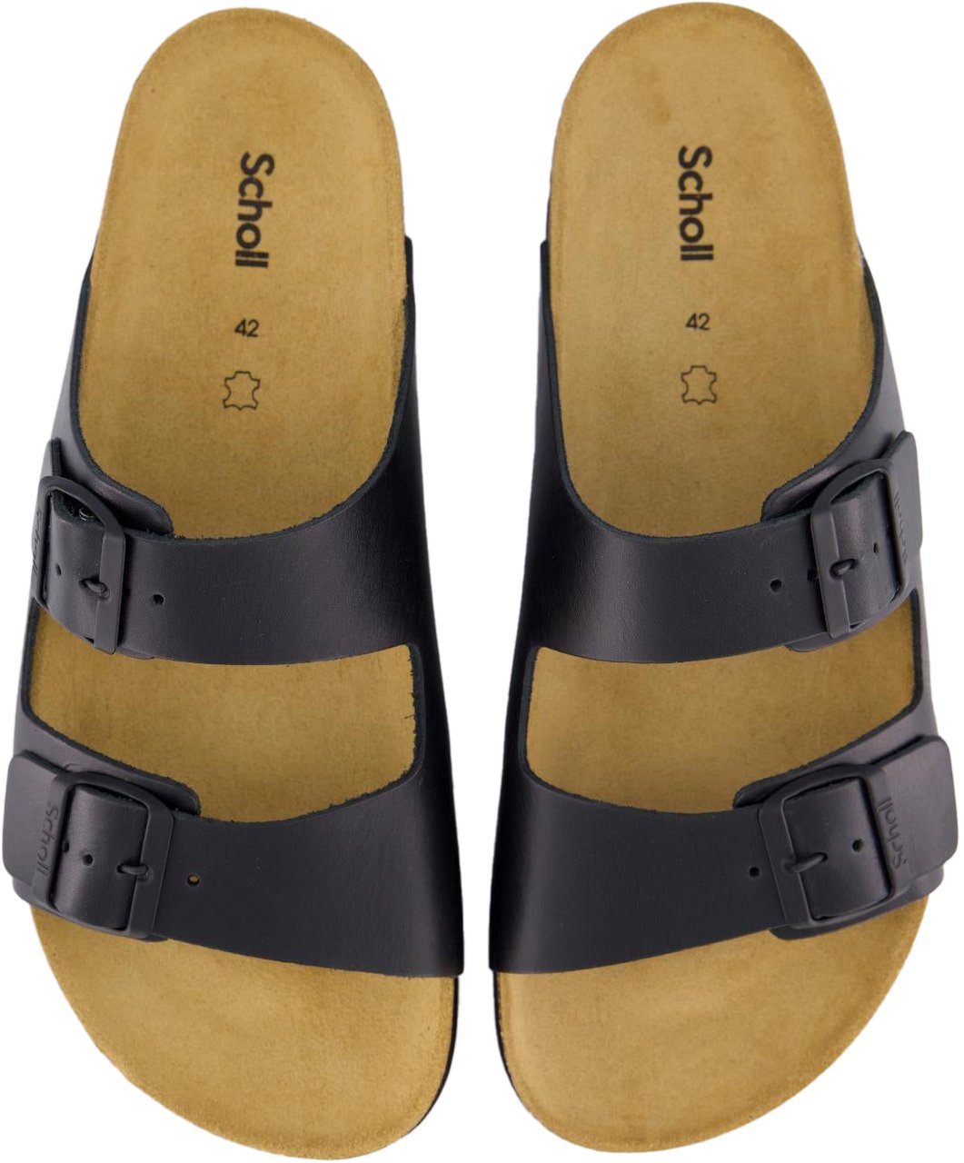 Scholl Heren Julien Slipper Black Zwart